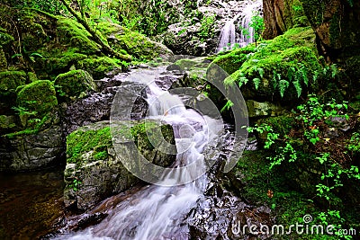 Maryvine Falls in Sooke Potholes Provincial Park, BC Stock Photo