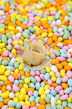 Assortment of mini Easter eggs with a marzipan flower Stock Photo