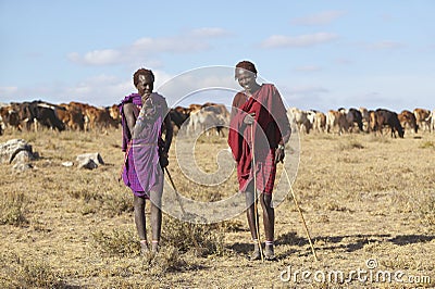 Masai herdsman minding his cattle near Nairobi National Park in Kenya, Africa Editorial Stock Photo