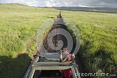 Masai scout with binoculars looks for animals from a Landcruiser during a tourist game drive at the Lewa Wildlife Conservancy in Editorial Stock Photo