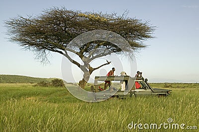 Masai scouts and tourist look for animals from a Landcruiser during a game drive at the Lewa Wildlife Conservancy in North Kenya, Editorial Stock Photo