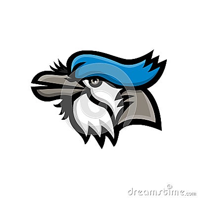 Mascot icon illustration of head of a blue jay Cyanocitta cristata, a passerine bird in the family Corvidae, native to North Vector Illustration