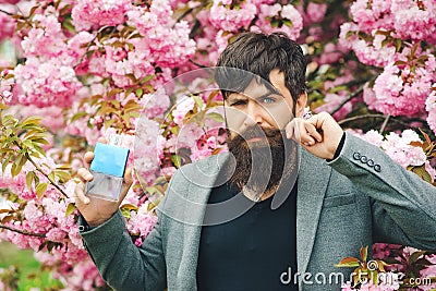 Masculine perfume. Spring flowers. Man perfume, fragrance. Male fragrance and perfumery, cosmetics. Man holding up bottle of Stock Photo