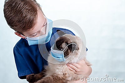 Mask coronavirus covid 19 flu, cat disease Stock Photo