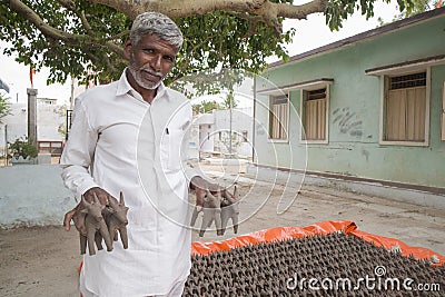 Maski, India July, 01, 2019 : Old man selling Bullocks made with mud clay, made during the festival at the start of the Monsoon in Editorial Stock Photo
