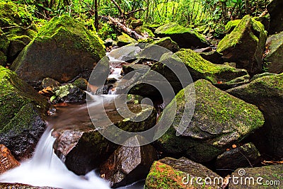 Masoala rainforest river rocks Stock Photo