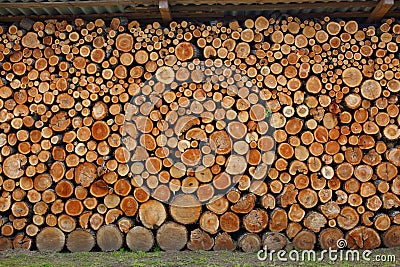 Texture of a woodpile made of round logs Stock Photo