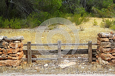 Masonry stone wall wooden fence pine forest Stock Photo