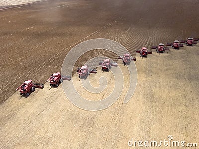 Mass soybean harvesting Editorial Stock Photo
