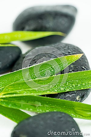 Massage equipment and black stones Stock Photo