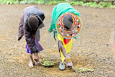 Massai women sweeping the floor doing chores Stock Photo