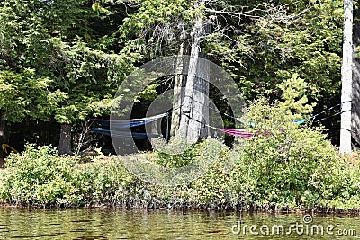 Massawepie lake adirondack scouts hammocks Stock Photo