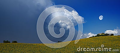 Massive clouds over sunflowers field Stock Photo