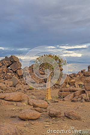 Massive Dolerite Rock Formations at Giant`s Playground near Keetmanshoop, Namibia, vertical Stock Photo
