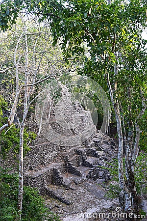 Massive mayan temple at El Mirador, Peten Guatemala Stock Photo