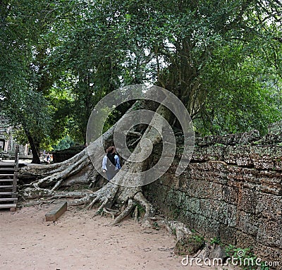 Massive trees growing screwed through the ancient stone wall in Angkor, woman stands between the tree trunks Editorial Stock Photo