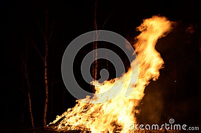 Massive wood fire Stock Photo