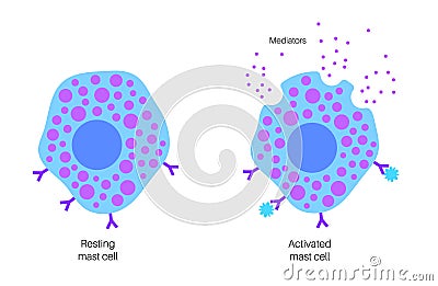 Mast cell poster Vector Illustration