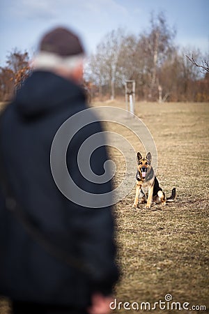 Master and his obedient dog Stock Photo