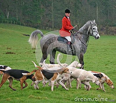 Master with hounds Editorial Stock Photo