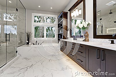 Master modern bathroom interior in luxury home with dark hardwood cabinets, white tub and glass door shower Stock Photo