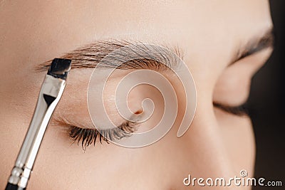 Master tinting of eyebrow hair women, brow correction Stock Photo