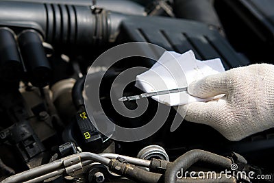 Master wipes the oil dipstick, to check the level Stock Photo