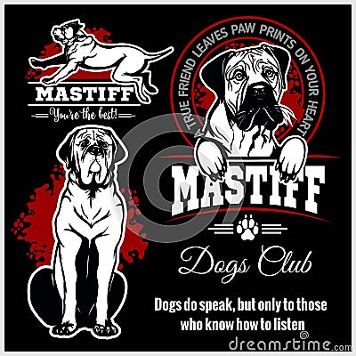 Mastiff - vector set for t-shirt, logo and template badges Vector Illustration