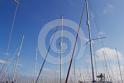 Masts of Docked Sailboats Stock Photo