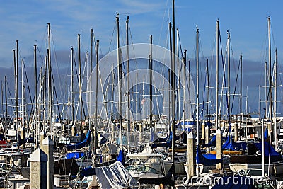 Masts rise from sail boats moored in crowded marina. Stock Photo