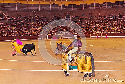 Matador and bull in bullfighting at Madrid Editorial Stock Photo