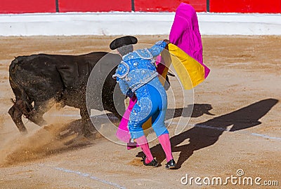 Matador and bull in tourada bullfight - Moita Lisbon Portugal Editorial Stock Photo