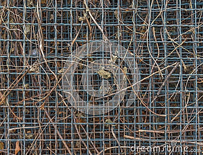 Matal industry grid fence pattern with natural brown weeds Stock Photo