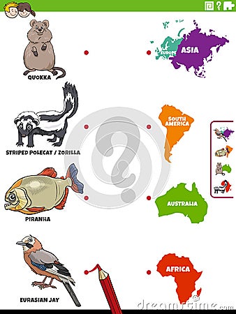 Match animal species and continents educational activity Vector Illustration