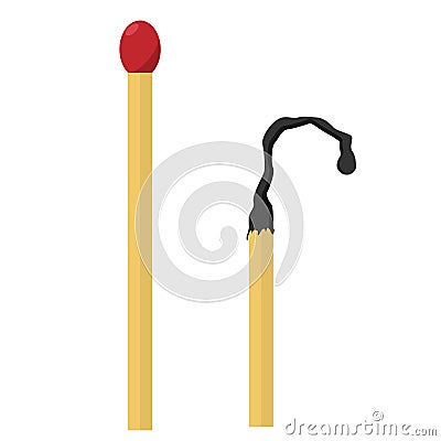 The match and burned matches. Vector Illustration