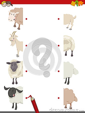 Match the halves of sheep Vector Illustration