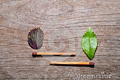 Match with a strip leaf on wooden background Stock Photo