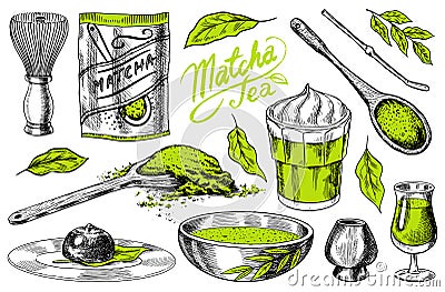 Matcha green tea set. Organic powder, bamboo whisk chasen, bowl chawan, spoon chashaku for Japanese ceremony. Healthy Vector Illustration