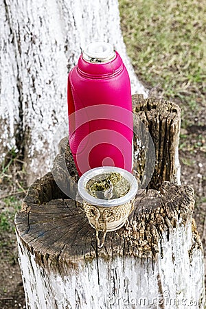 A mate cup with freh mate herbs and a bottle of hot water on a tree trunk in a park in Argentina Stock Photo