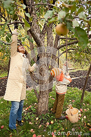 Mather and son gather apples in autumnal garden Stock Photo