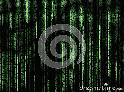 Matrix letters Stock Photo