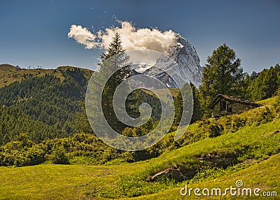 Matterhorn mountain near Zermatt city with flowers abd trees in the foreground. Canton of Valais Stock Photo