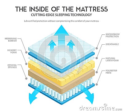 Mattress Anatomy Illustration Vector Illustration