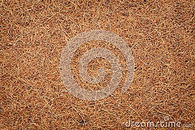Mattress for a child made of coconut fiber. Stock Photo