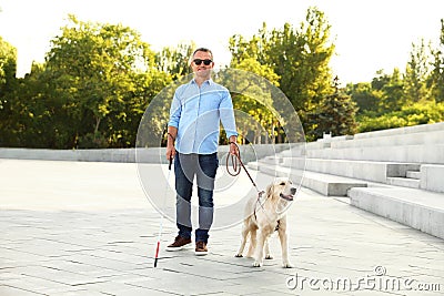 Mature blind person with white walking cane and guide dog near stairs Stock Photo