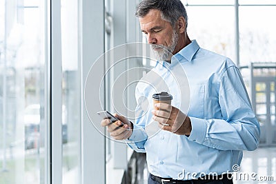 Mature business man in formal clothing using mobile phone. Serious businessman using smartphone at work. Manager in suit Stock Photo