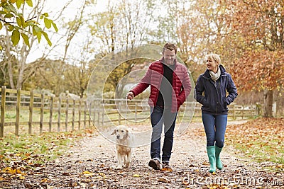 Mature Couple On Autumn Walk With Labrador Stock Photo