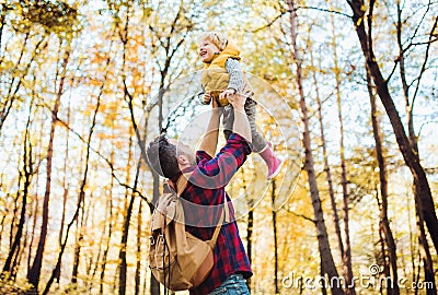 A mature father lifting a toddler son in the air in an autumn forest. Stock Photo