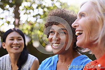 Mature Female Friends Socializing In Backyard Together Stock Photo