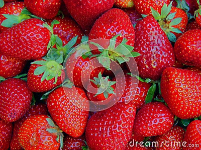 A mature and juicy strawberries Stock Photo